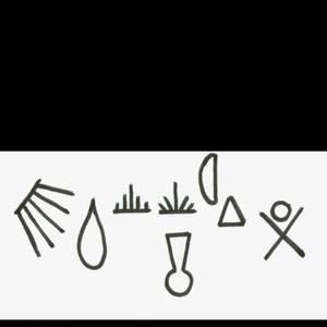 Meet your Posher, Elvia